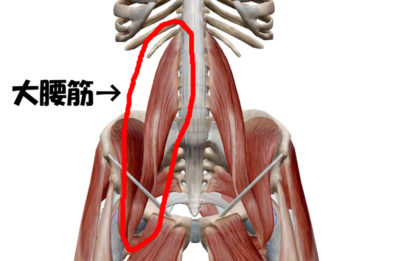 大腰筋が緩めば身体が変わる 泉区 戸塚エリアの整体